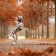 Man-und Pettrailtraining Tiersuchhunde