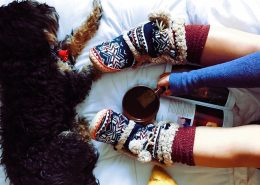 Man-und Pettrailtraining Tiersuchhunde